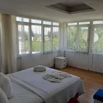 Alper Fethiye